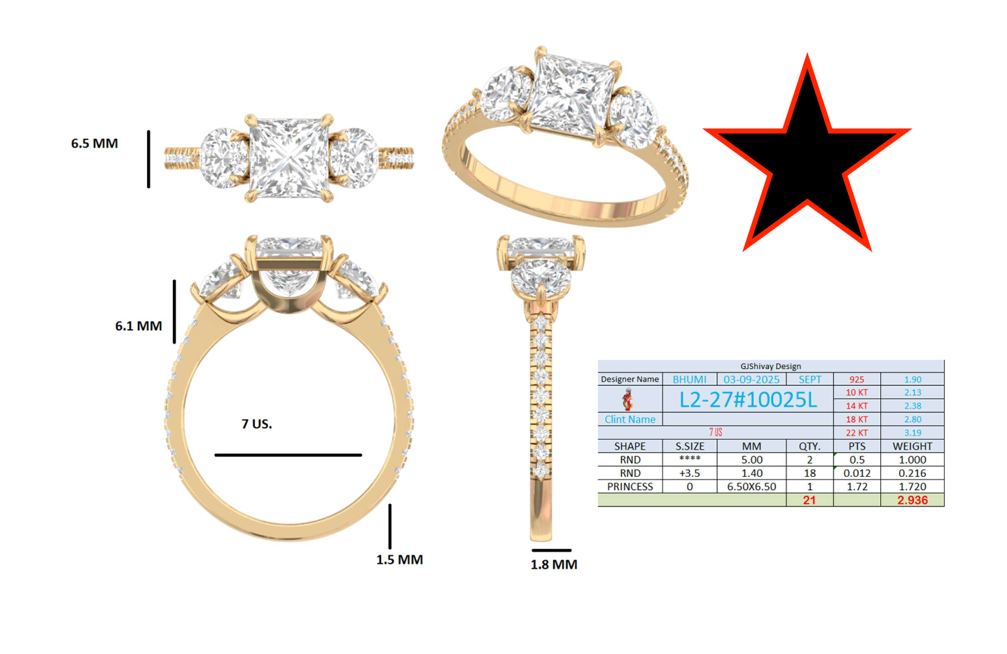 2.95 Ct. Princess Cut Diamond Ring with Round Side Stones and Pavé Shank (L2-27#10025L) 16